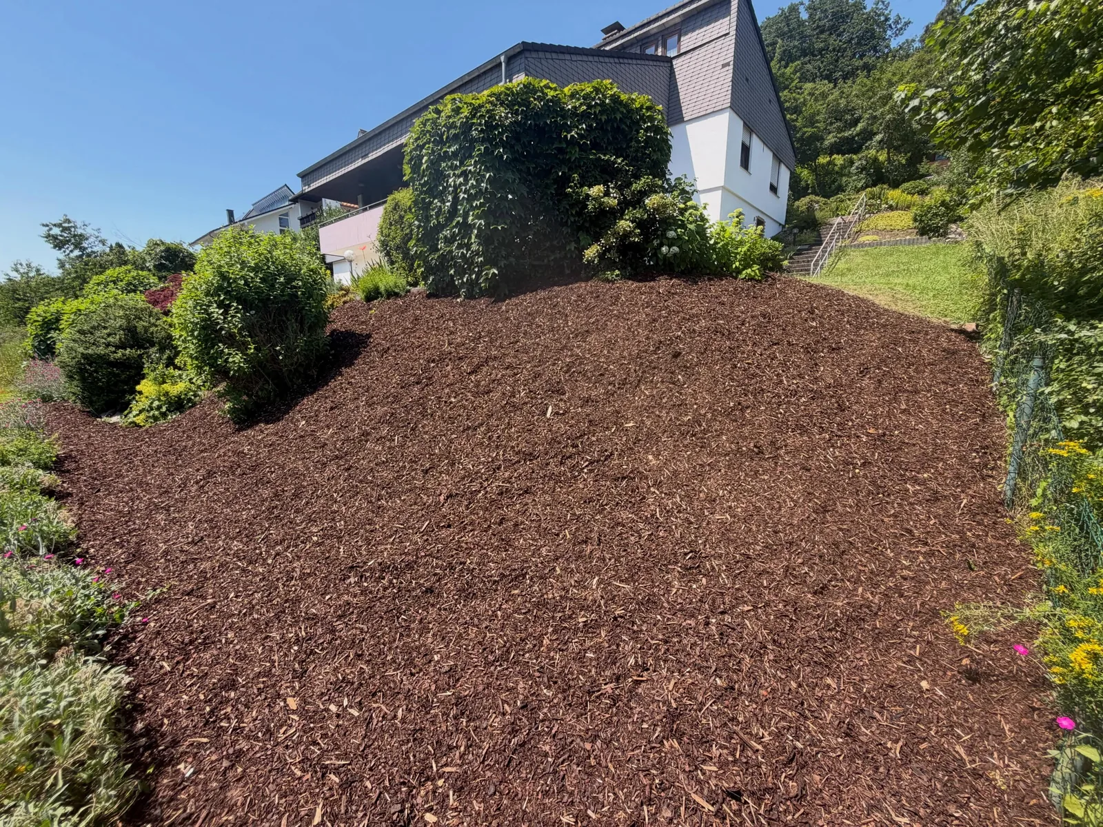 Mit Rindenmulch abgedeckte Hangfläche mit Sträuchern neben einem Wohnhaus